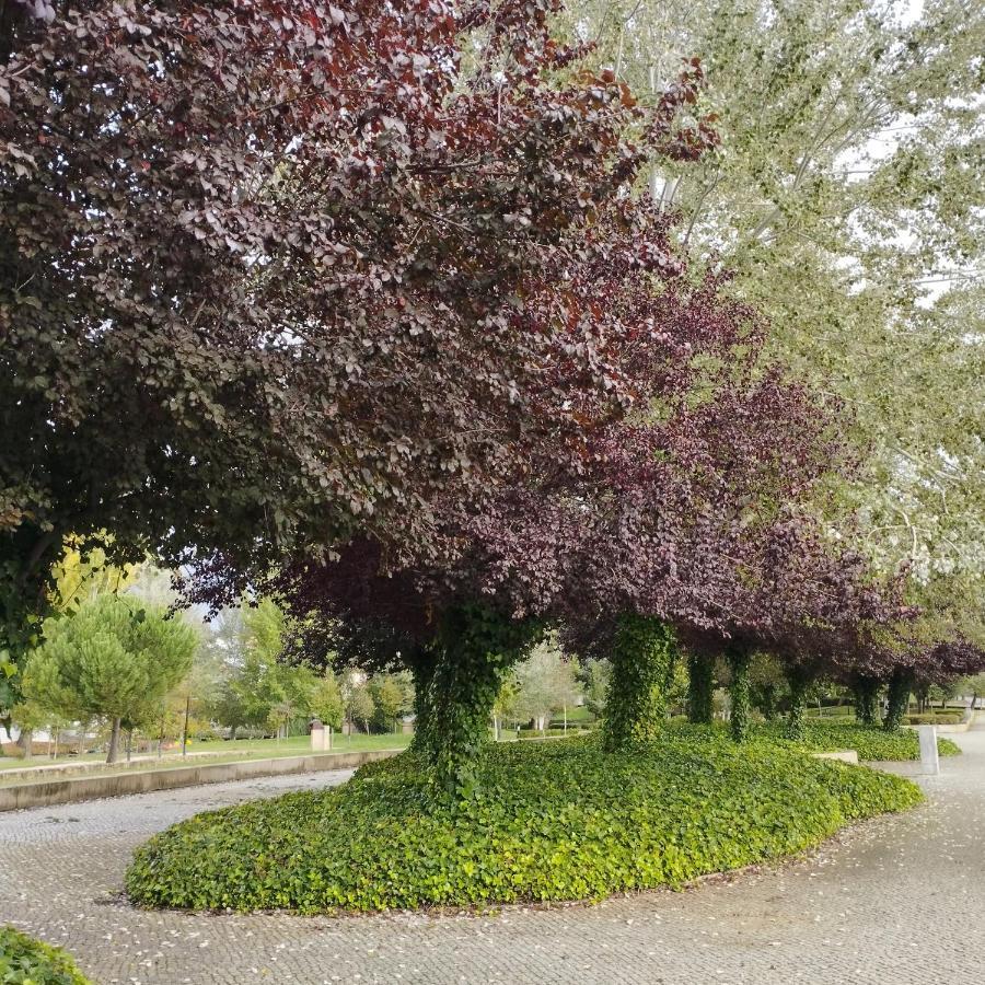 Casa Flor De Mel Leilighet Sertã Eksteriør bilde